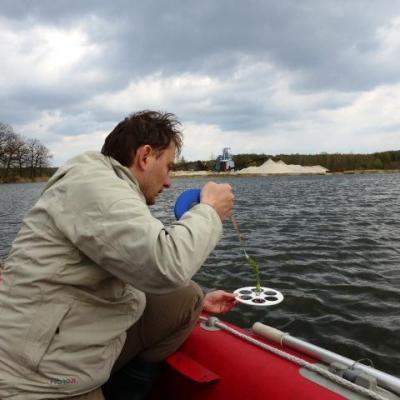 Pomiar przeźroczystości wody za pomocą krążka Secchiego (Nowogród Bobrzański)