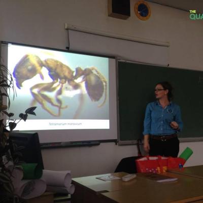 Biodiversity of quarry Ribnica, Ants as Bioindicators